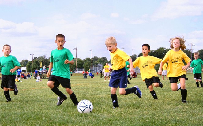 Sports Facilities